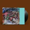ANIMAL COLLECTIVE – bridge to quiet (12" Vinyl)