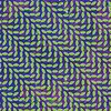 ANIMAL COLLECTIVE – merriweather post pavilion (CD, LP Vinyl)