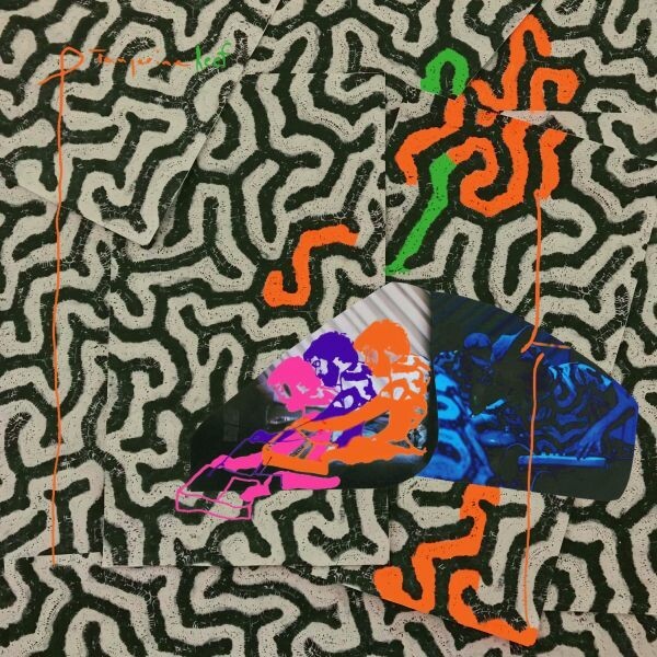 ANIMAL COLLECTIVE – tangerine reef (LP Vinyl)