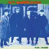 ANTI-NOWHERE LEAGUE – we are... the league (LP Vinyl)