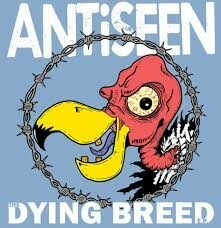 Cover ANTISEEN, the dying breed