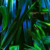 ANUSHKA CHKHEIDZE & ROBERT LIPPOK – uncontrollable thoughts (CD, LP Vinyl)
