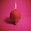 ARCADE FIRE – pink elephant (CD, LP Vinyl)