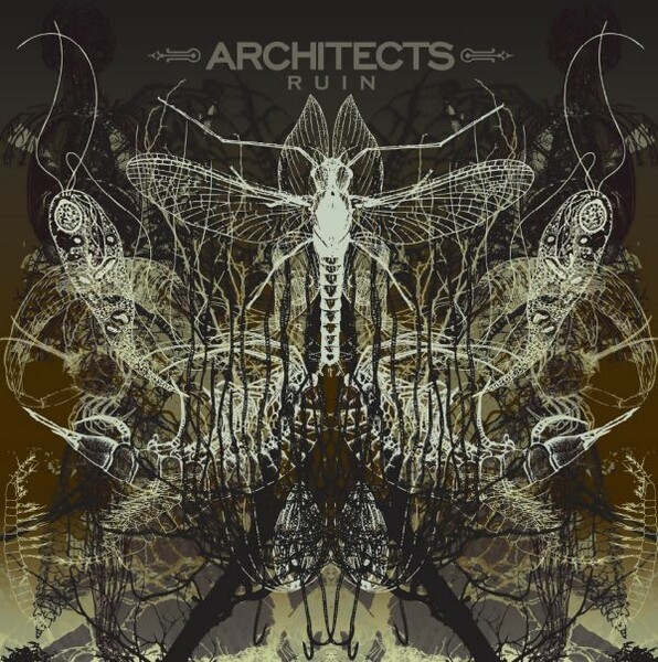 ARCHITECTS – ruin (LP Vinyl)