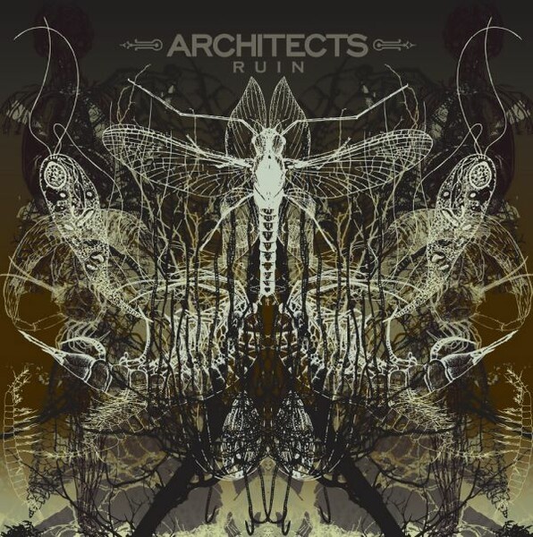ARCHITECTS – ruin (LP Vinyl)