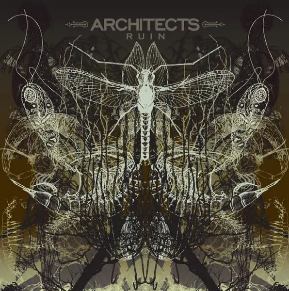 ARCHITECTS – ruin (LP Vinyl)