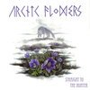 ARCTIC FLOWERS – straight to the hunter (LP Vinyl)
