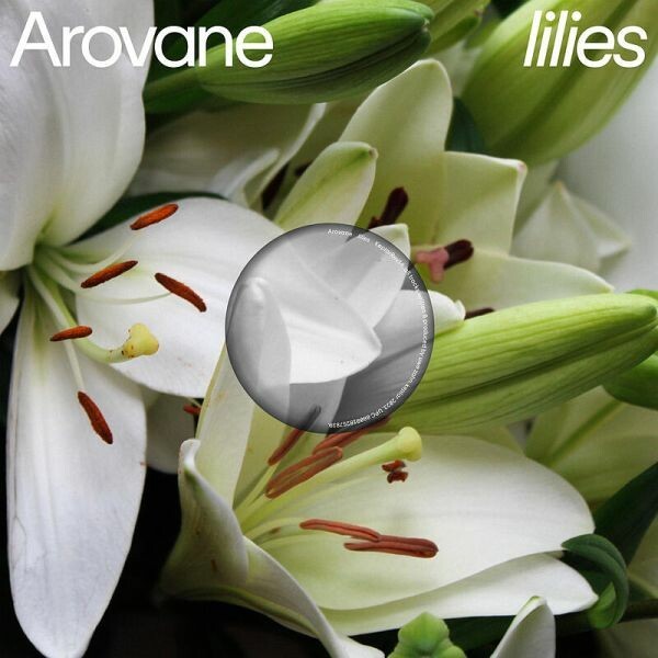 Cover AROVANE, lilies