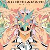AUDIO KARATE – malo (LP Vinyl)