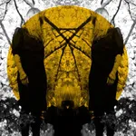 AUSTRA – feel it break (CD)