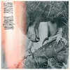 AUTHOR & PUNISHER – nocturnal birding (CD, LP Vinyl)