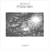 AUTUMN OF PAEKWARD – cern (LP Vinyl)