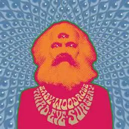 BABY WOODROSE – third eye surgery (10th anniversary) (LP Vinyl)