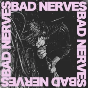 BAD NERVES – s/t (LP Vinyl)