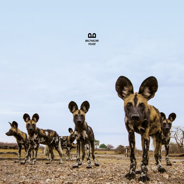 BALTHAZAR – fever (CD)