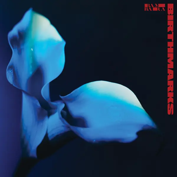 BAMBARA – birthmarks (CD, LP Vinyl)
