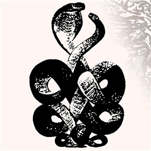 BARDO POND – volume 4 & 5 (LP Vinyl)