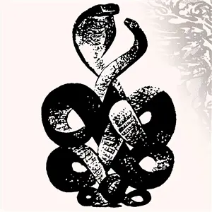 BARDO POND – volume 4 & 5 (LP Vinyl)