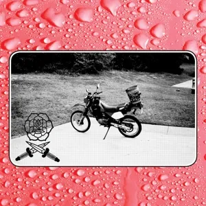 BASS DRUM OF DEATH – say i won´t (CD, LP Vinyl)