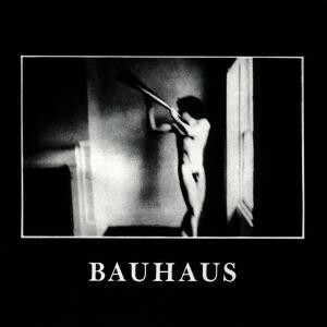 BAUHAUS, in the flat field cover