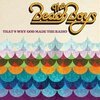 BEACH BOYS – that´s why god made the radio (LP Vinyl)