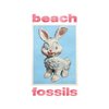 BEACH FOSSILS – bunny (CD, Kassette)
