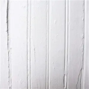 BEACH FOSSILS – s/t (CD)