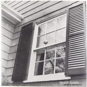 BEACH FOSSILS – what a pleasure (LP Vinyl)