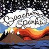 BEACHWOOD SPARKS – s/t (LP Vinyl)