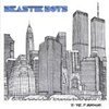 BEASTIE BOYS – to the 5 boroughs (LP Vinyl)