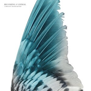 BECOMING ANIMAL – a distant hand lifted (LP Vinyl)