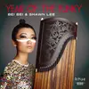 BEI BEI & SHAWN LEE – year of the funky (LP Vinyl)
