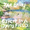 BETHS – expert in a dying field (CD, LP Vinyl)