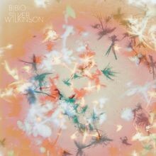 BIBIO – silver wilkinson (CD)