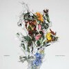 BIG BRAVE – a chaos of flowers (CD, LP Vinyl)