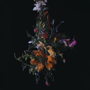 BIG BRAVE – nature morte (CD, LP Vinyl)