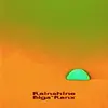 BIGA*RANX – rainshine (CD, LP Vinyl)