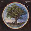 BILL FAY – countless branches (CD, LP Vinyl)