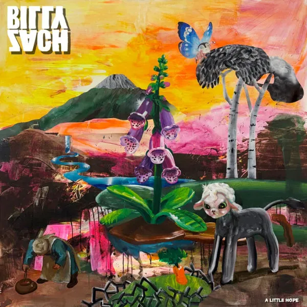BILLY ZACH – a little hope (LP Vinyl)