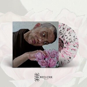 Cover BIRDS IN ROW, gris klein (splatter)