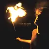 BIRDS IN ROW – personal war (LP Vinyl)