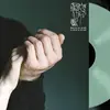 BIRDS IN ROW – we already lost the world (LP Vinyl)