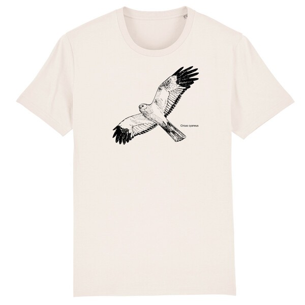 Cover BIRDSHIRT, kornweihe (boy), sky blue
