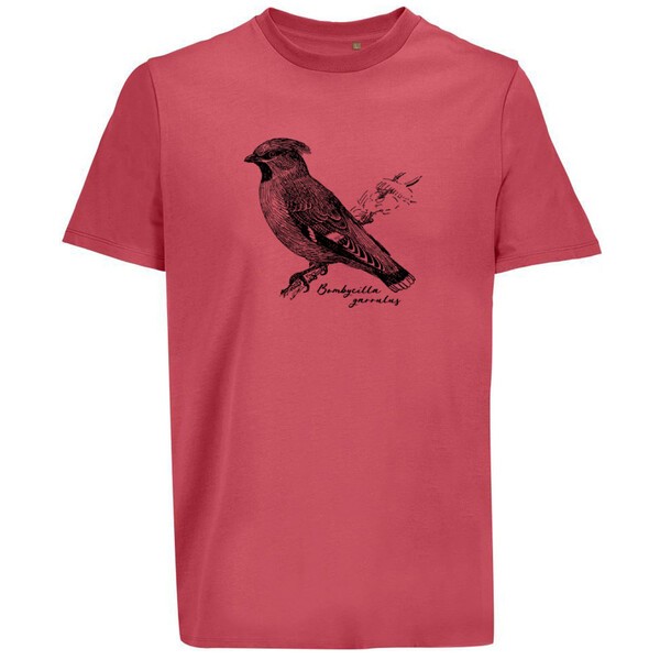 BIRDSHIRT – seidenschwanz (boy), folk pink (Textil)