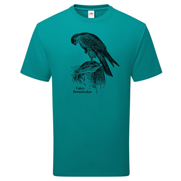 BIRDSHIRT – turmfalke (boy), ocean teal (Textil)