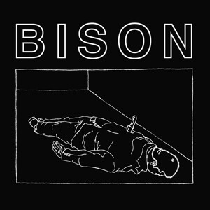Cover BISON, 1000 needles