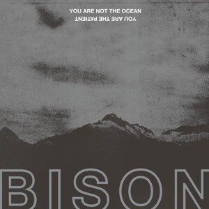 Cover BISON, you are not the ocean you are the p