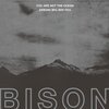 BISON – you are not the ocean you are the p (CD, LP Vinyl)