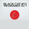 BLACK CAT #13 – the experiment vol. 1 (12" Vinyl)