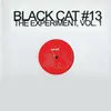 BLACK CAT #13 – the experiment vol. 1 (12" Vinyl)